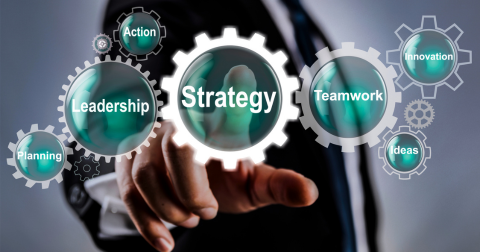 Financial Management & Investment Strategies