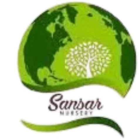 Sansar Nursery